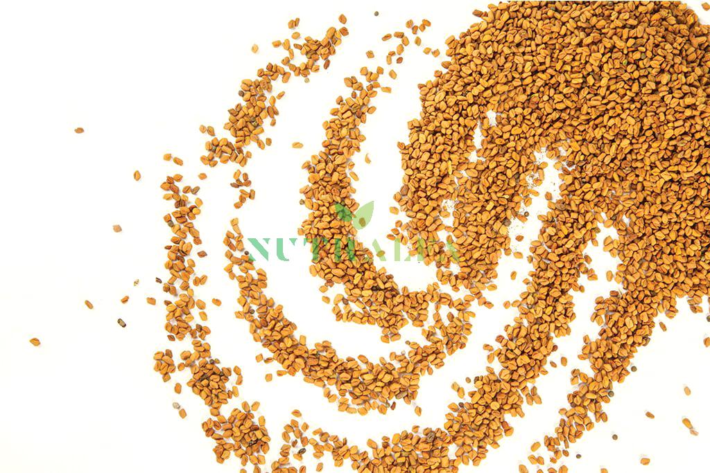 Fenugreek Seeds