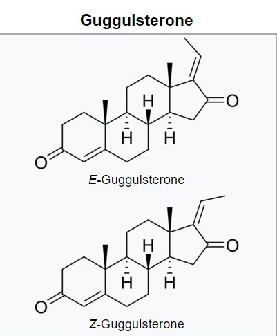 Guggulsterone E and Z Count