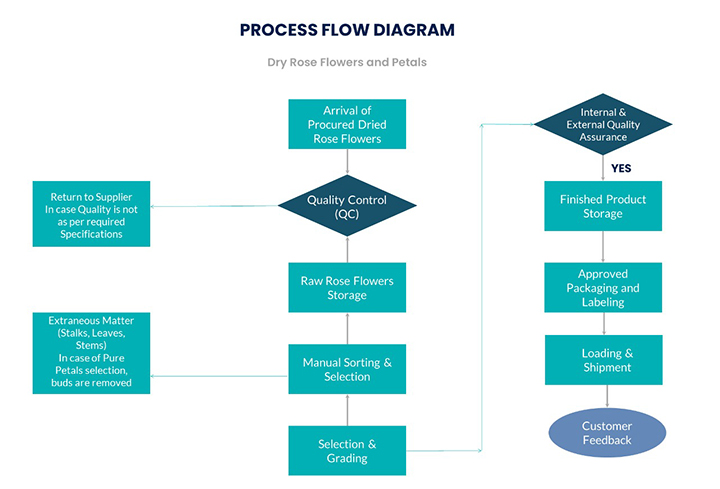 Process Flow - Rose Flowers and Petals